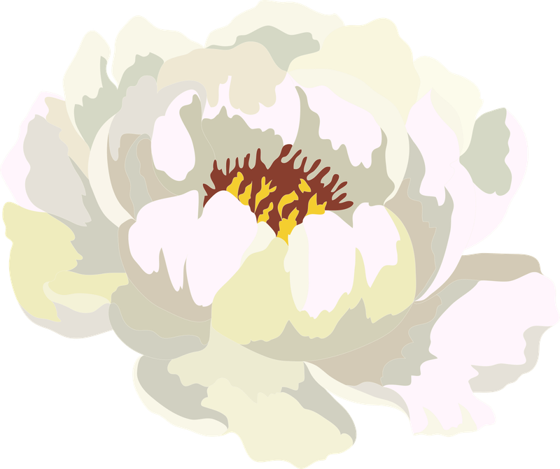 Flor